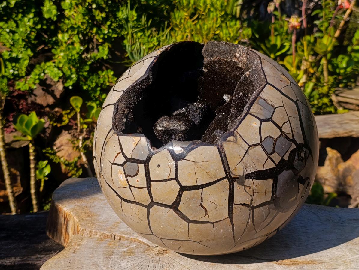 Polished XXL Septerye Sauvage Round "Dragons Egg" Geode x 1 From Mahajanga, Madagascar - Toprock Gemstones and Minerals 