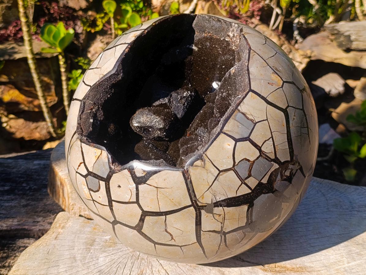 Polished XXL Septerye Sauvage Round "Dragons Egg" Geode x 1 From Mahajanga, Madagascar - Toprock Gemstones and Minerals 