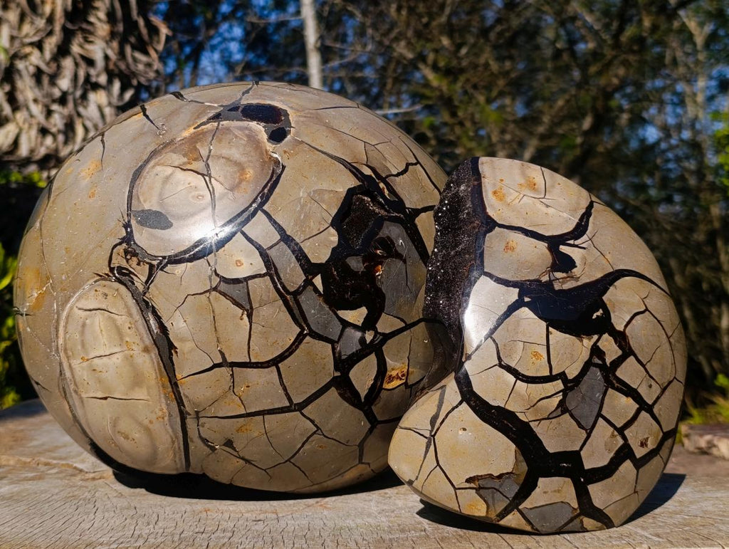 Polished XXL Septerye Sauvage Round "Dragons Egg" Geode x 1 From Mahajanga, Madagascar - Toprock Gemstones and Minerals 