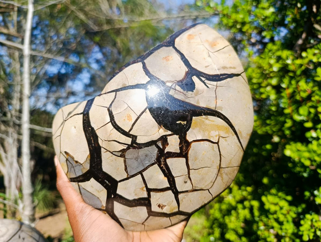 Polished XXL Septerye Sauvage Round "Dragons Egg" Geode x 1 From Mahajanga, Madagascar - Toprock Gemstones and Minerals 