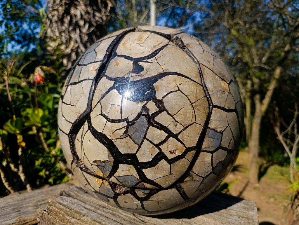 Polished XXL Septerye Sauvage Round "Dragons Egg" Geode x 1 From Mahajanga, Madagascar - Toprock Gemstones and Minerals 