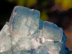 Natural Green Cubic Fluorite Specimens x 4 From Mandrosonoro, Madagascar - Toprock Gemstones and Minerals 
