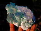 Natural Green Cubic Fluorite Specimens x 4 From Mandrosonoro, Madagascar - Toprock Gemstones and Minerals 