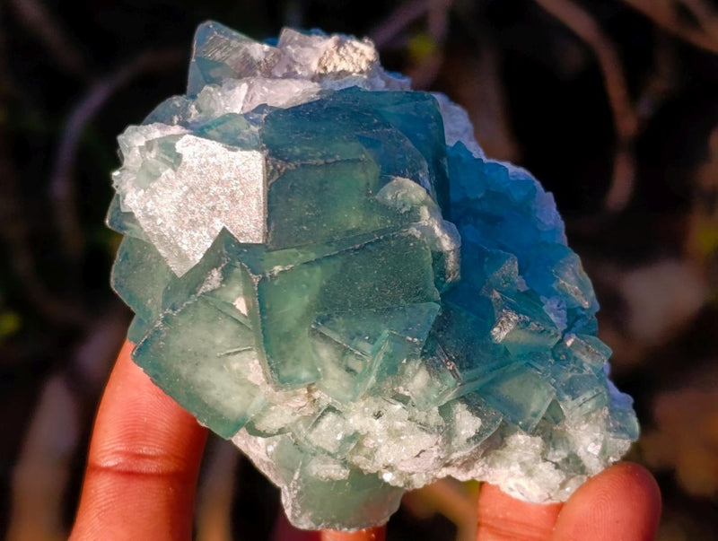 Natural Green Cubic Fluorite Specimens x 4 From Mandrosonoro, Madagascar - Toprock Gemstones and Minerals 