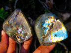 Polished Spectrolite Labradorite Standing Display Pieces x 6 From Madagascar - Toprock Gemstones and Minerals 