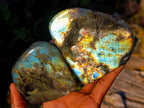 Polished Spectrolite Labradorite Standing Display Pieces x 6 From Madagascar - Toprock Gemstones and Minerals 