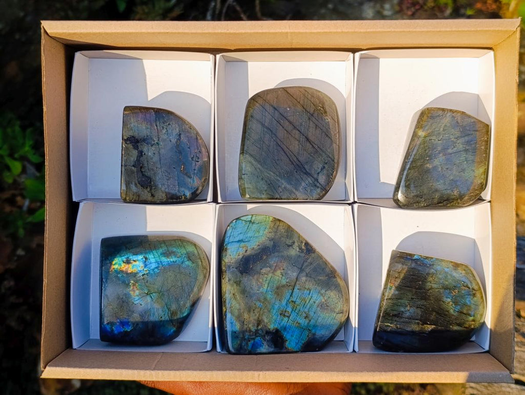 Polished Spectrolite Labradorite Standing Display Pieces x 6 From Madagascar - Toprock Gemstones and Minerals 