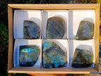 Polished Spectrolite Labradorite Standing Display Pieces x 6 From Madagascar - Toprock Gemstones and Minerals 