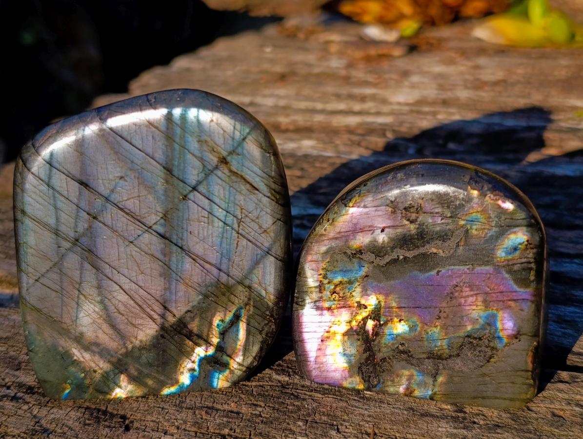 Polished Spectrolite Labradorite Standing Display Pieces x 6 From Madagascar - Toprock Gemstones and Minerals 