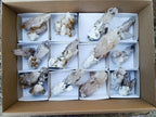 Natural Drusy Quartz Coated Calcite Pseudomorph Crystal Specimens x 17 From Albert's Mountain, Lesotho - Toprock Gemstones and Minerals 