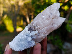 Natural Drusy Quartz Coated Calcite Pseudomorph Crystal Specimens x 17 From Albert's Mountain, Lesotho - Toprock Gemstones and Minerals 