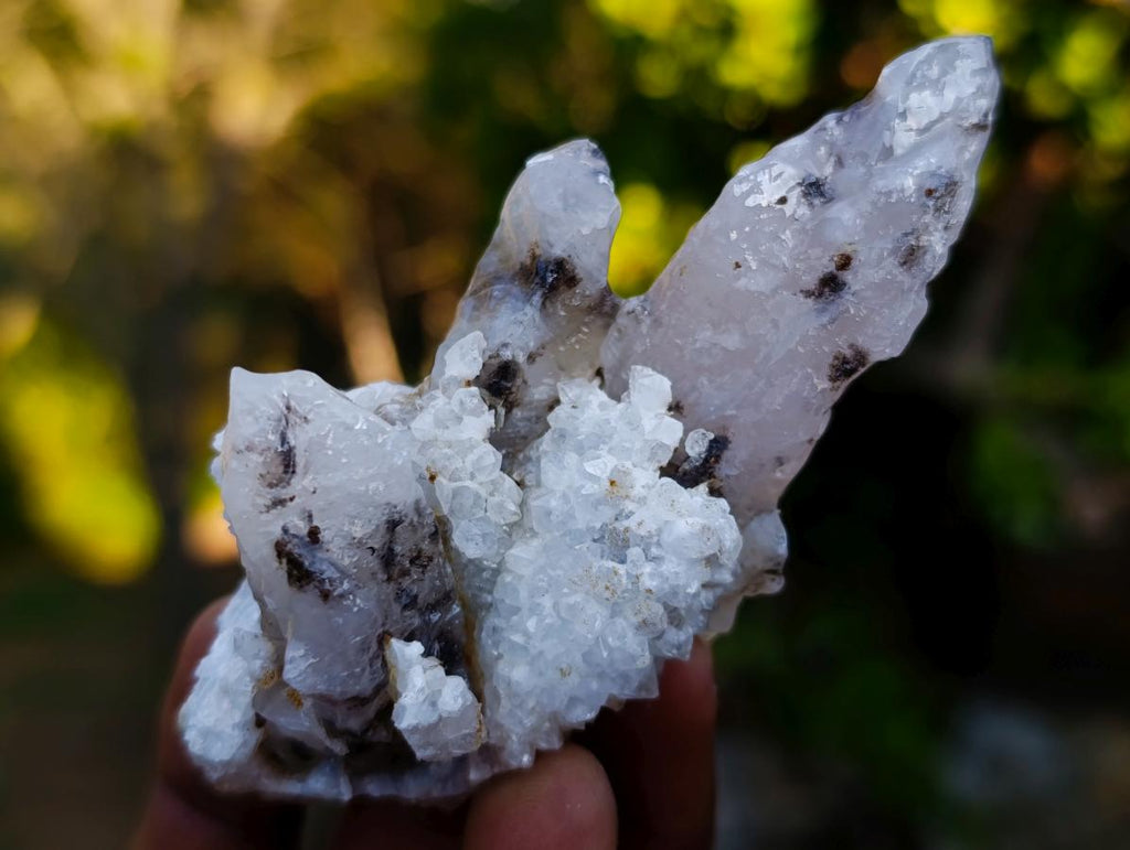 Natural Drusy Quartz Coated Calcite Pseudomorph Crystal Specimens x 17 From Albert's Mountain, Lesotho - Toprock Gemstones and Minerals 