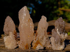 Natural Drusy Quartz Coated Calcite Pseudomorph Crystal Specimens x 17 From Albert's Mountain, Lesotho - Toprock Gemstones and Minerals 