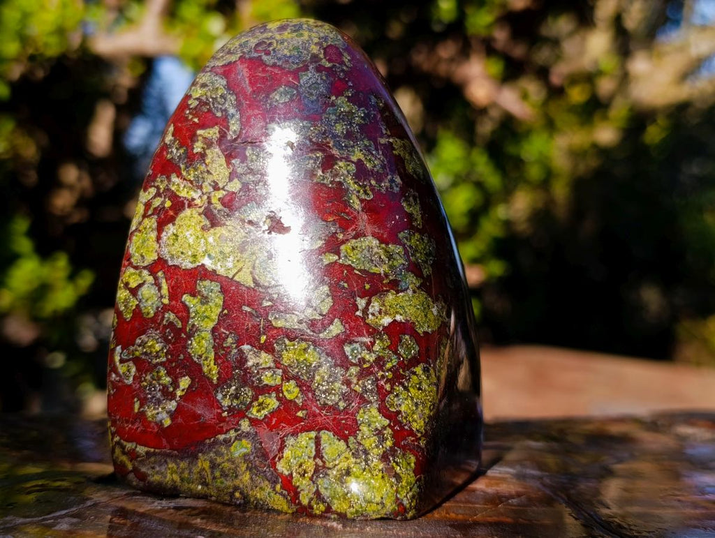 Polished Bastite Dragonsblood Stone Standing Display Pieces x 2 From Tshipise, South Africa - Toprock Gemstones and Minerals 
