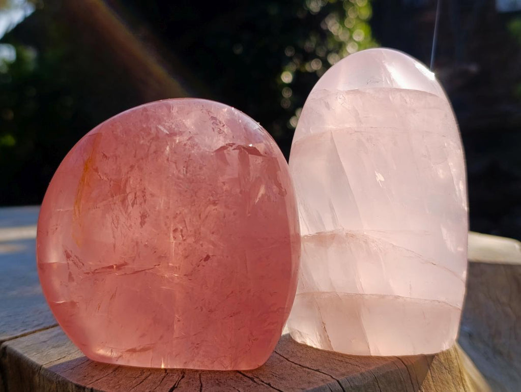 Polished Gemmy Rose Quartz Standing Display Pieces x 2 From Madagascar - Toprock Gemstones and Minerals 