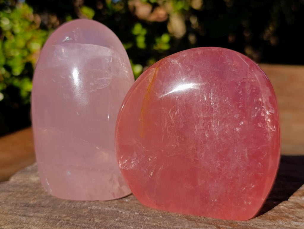 Polished Gemmy Rose Quartz Standing Display Pieces x 2 From Madagascar - Toprock Gemstones and Minerals 