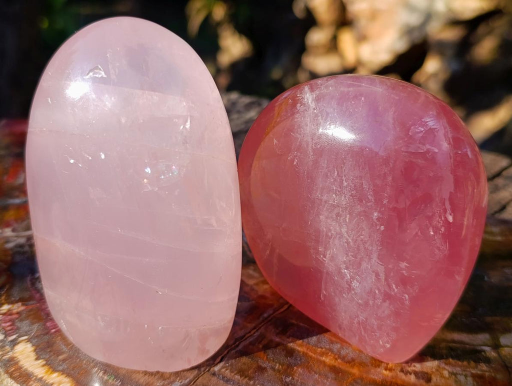 Polished Gemmy Rose Quartz Standing Display Pieces x 2 From Madagascar - Toprock Gemstones and Minerals 