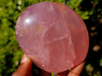 Polished Gemmy Rose Quartz Standing Display Pieces x 2 From Madagascar - Toprock Gemstones and Minerals 
