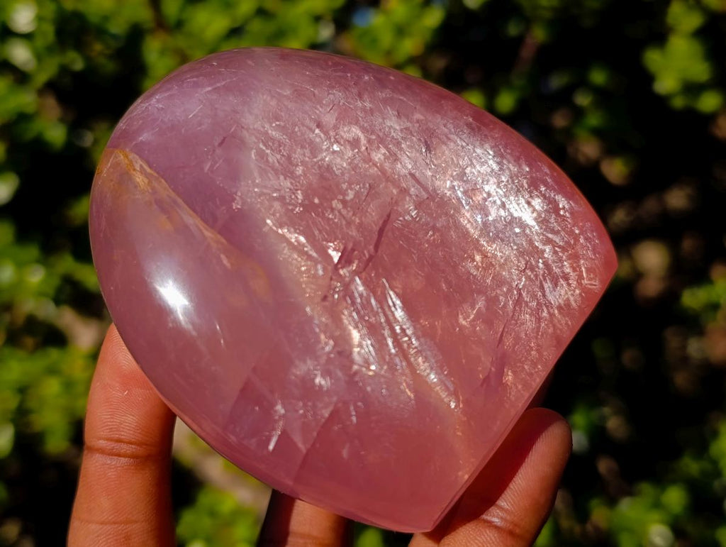 Polished Gemmy Rose Quartz Standing Display Pieces x 2 From Madagascar - Toprock Gemstones and Minerals 