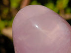Polished Gemmy Rose Quartz Standing Display Pieces x 2 From Madagascar - Toprock Gemstones and Minerals 