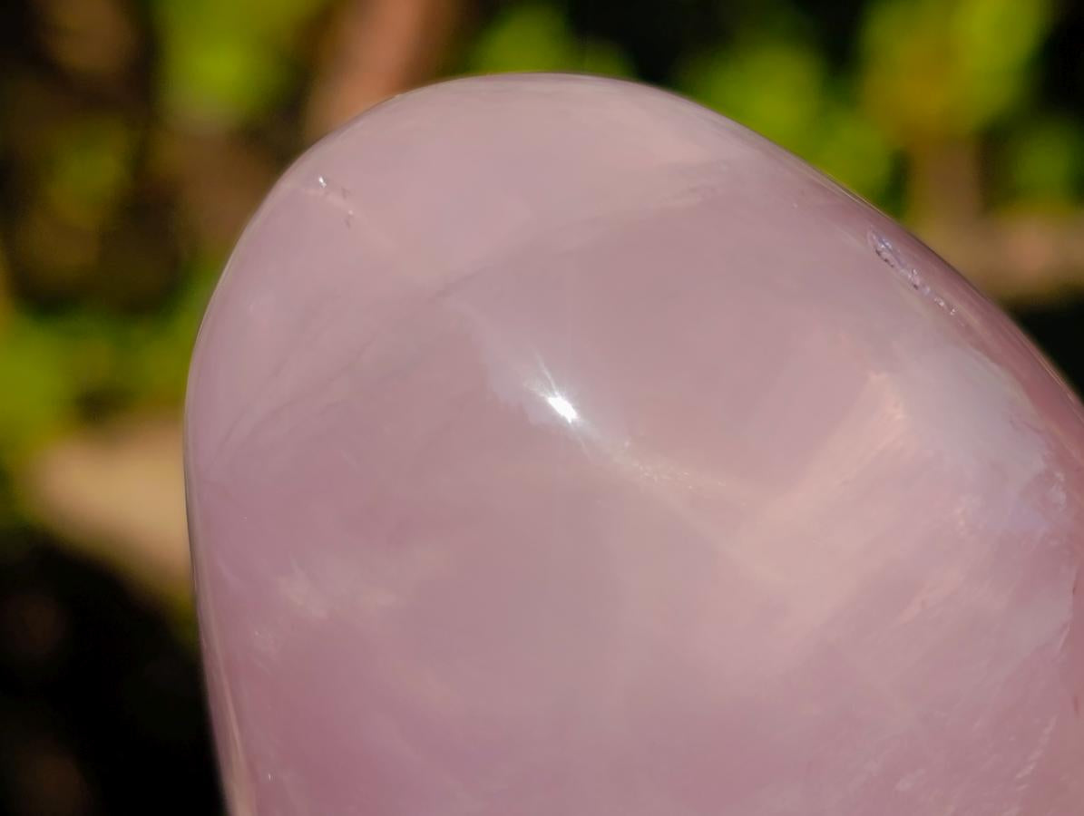 Polished Gemmy Rose Quartz Standing Display Pieces x 2 From Madagascar - Toprock Gemstones and Minerals 