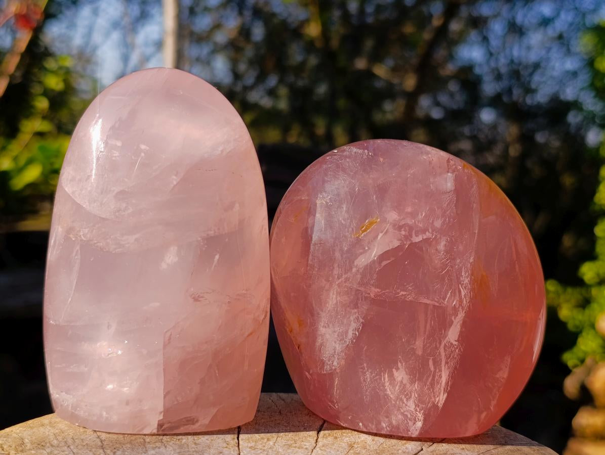 Polished Gemmy Rose Quartz Standing Display Pieces x 2 From Madagascar - Toprock Gemstones and Minerals 