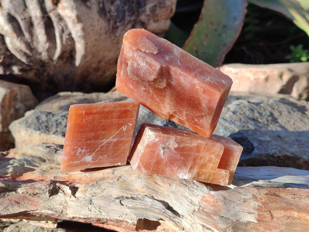 Natural Rhombohedral Sunset Orange Calcite Specimens x 24 From Spitzkop, Namibia - Toprock Gemstones and Minerals 