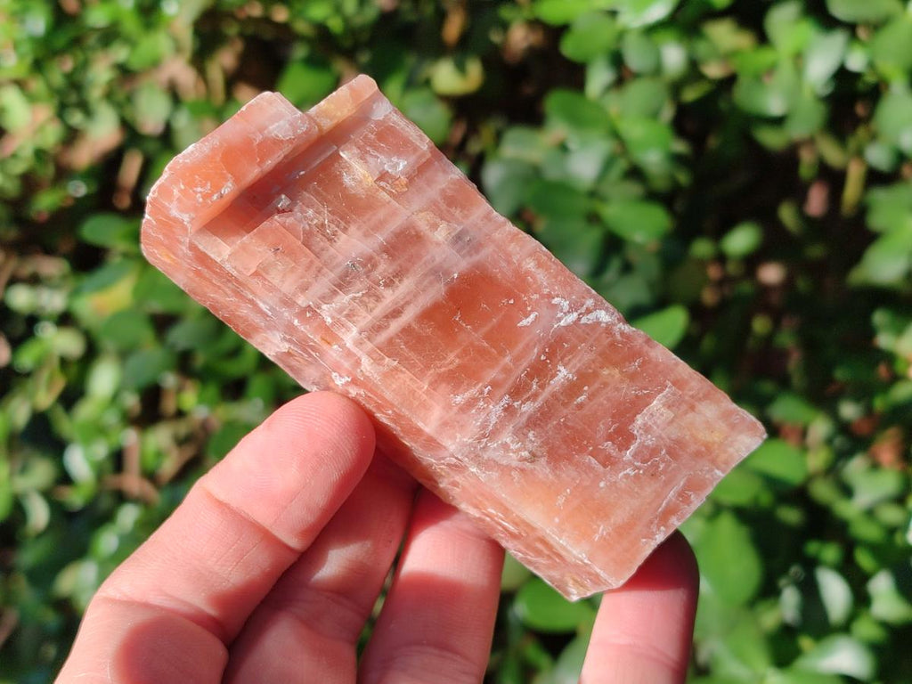Natural Rhombohedral Sunset Orange Calcite Specimens x 24 From Spitzkop, Namibia - Toprock Gemstones and Minerals 