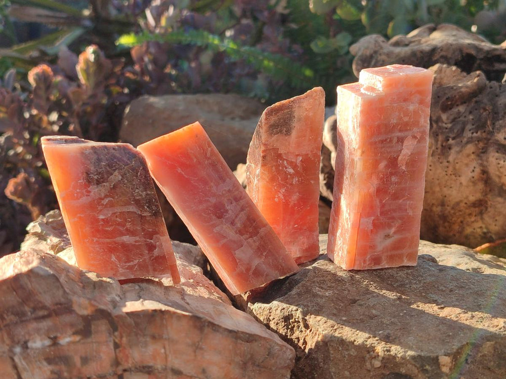 Natural Rhombohedral Sunset Orange Calcite Specimens x 24 From Spitzkop, Namibia - Toprock Gemstones and Minerals 