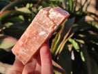 Natural Rhombohedral Sunset Orange Calcite Specimens x 24 From Spitzkop, Namibia - Toprock Gemstones and Minerals 