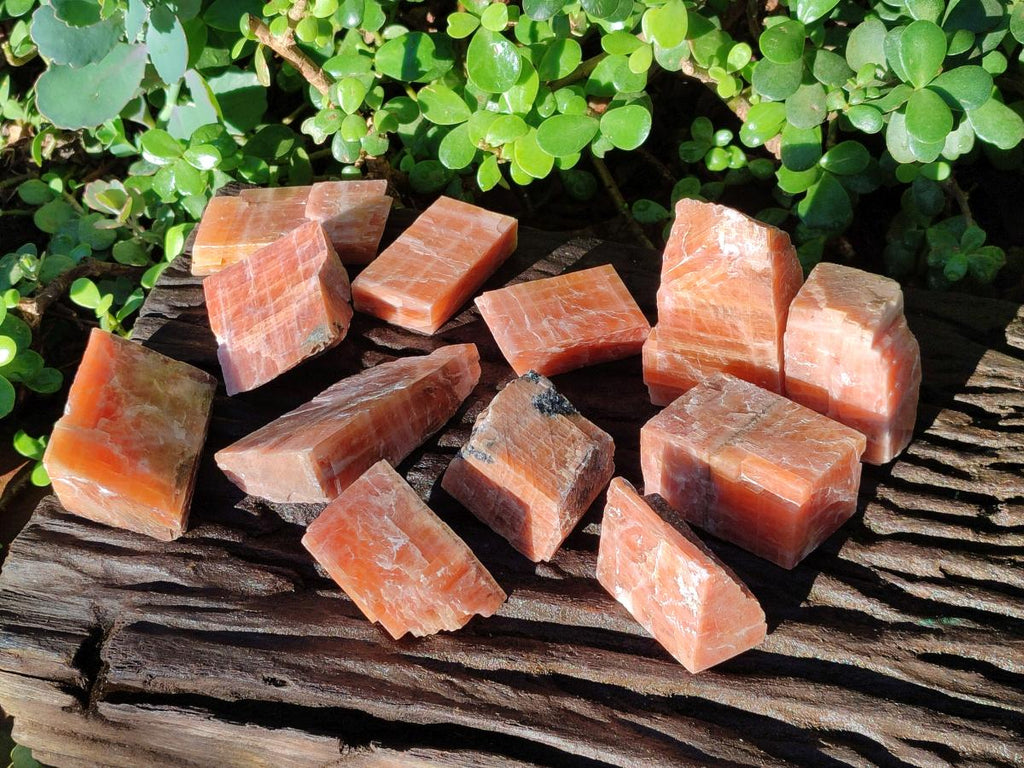 Natural Rhombohedral Sunset Orange Calcite Specimens x 24 From Spitzkop, Namibia - Toprock Gemstones and Minerals 
