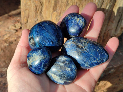 Polished Dumortierite Free forms x 24 From Madagascar - Toprock Gemstones and Minerals 