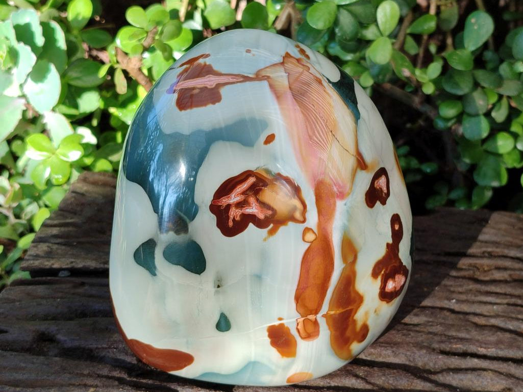 Polished Large Polychrome Jasper Standing Display Piece x 1 From NW Coast, Madagascar - Toprock Gemstones and Minerals 