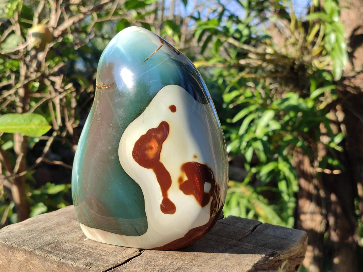 Polished Large Polychrome Jasper Standing Display Piece x 1 From NW Coast, Madagascar - Toprock Gemstones and Minerals 