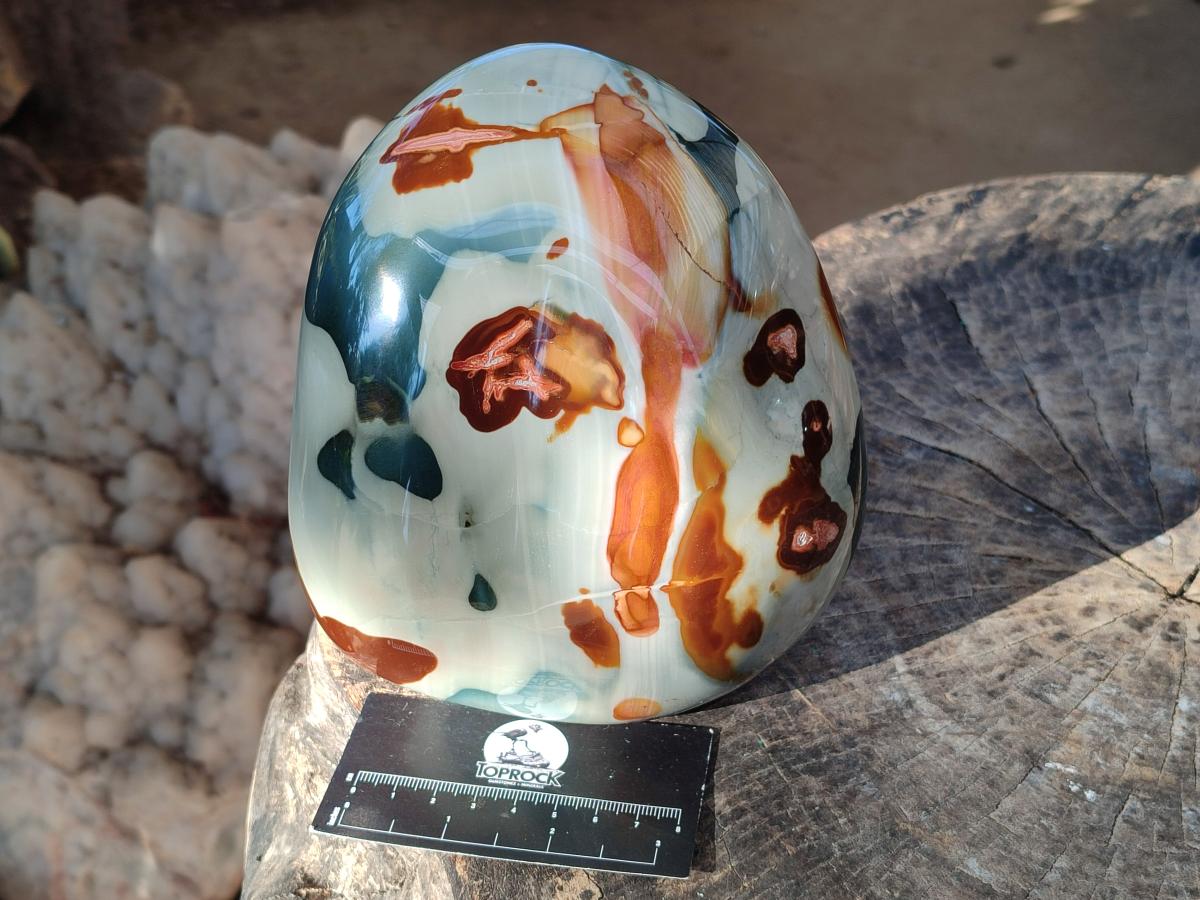 Polished Large Polychrome Jasper Standing Display Piece x 1 From NW Coast, Madagascar - Toprock Gemstones and Minerals 