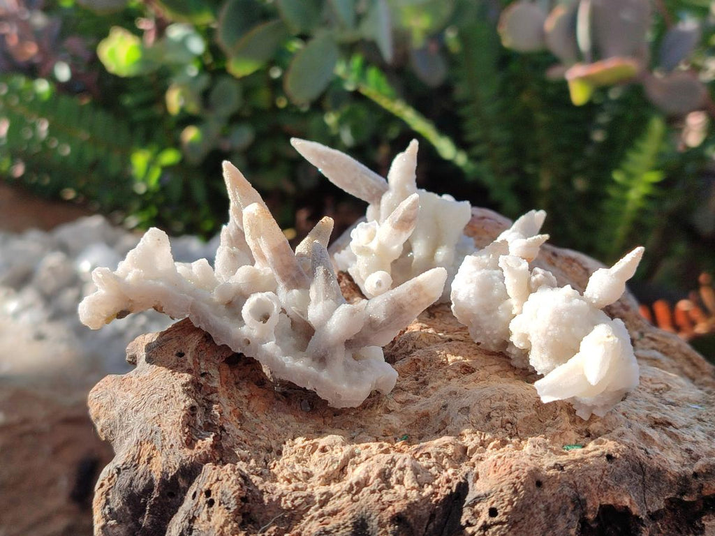 Natural Drusy Quartz Coated Spearhead Calcite Pseudomorph Clusters x 12 From Albert's Mountain, Lesotho - Toprock Gemstones and Minerals 