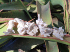 Natural Drusy Quartz Coated Spearhead Calcite Pseudomorph Clusters x 12 From Albert's Mountain, Lesotho - Toprock Gemstones and Minerals 