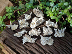 Natural Drusy Quartz Coated Spearhead Calcite Pseudomorph Clusters x 12 From Albert's Mountain, Lesotho - Toprock Gemstones and Minerals 