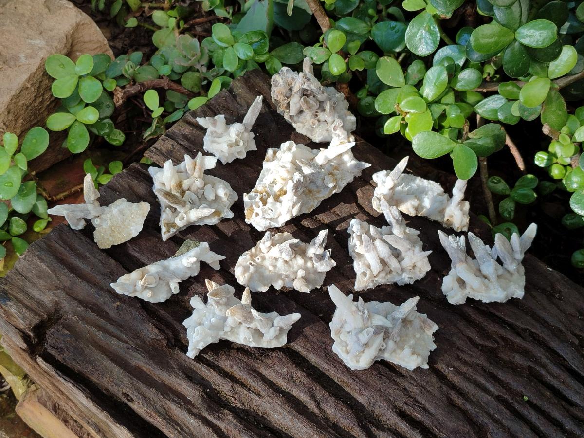 Natural Drusy Quartz Coated Spearhead Calcite Pseudomorph Clusters x 12 From Albert's Mountain, Lesotho - Toprock Gemstones and Minerals 
