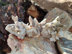 Natural Drusy Quartz Coated Spearhead Calcite Pseudomorph Clusters x 12 From Albert's Mountain, Lesotho - Toprock Gemstones and Minerals 