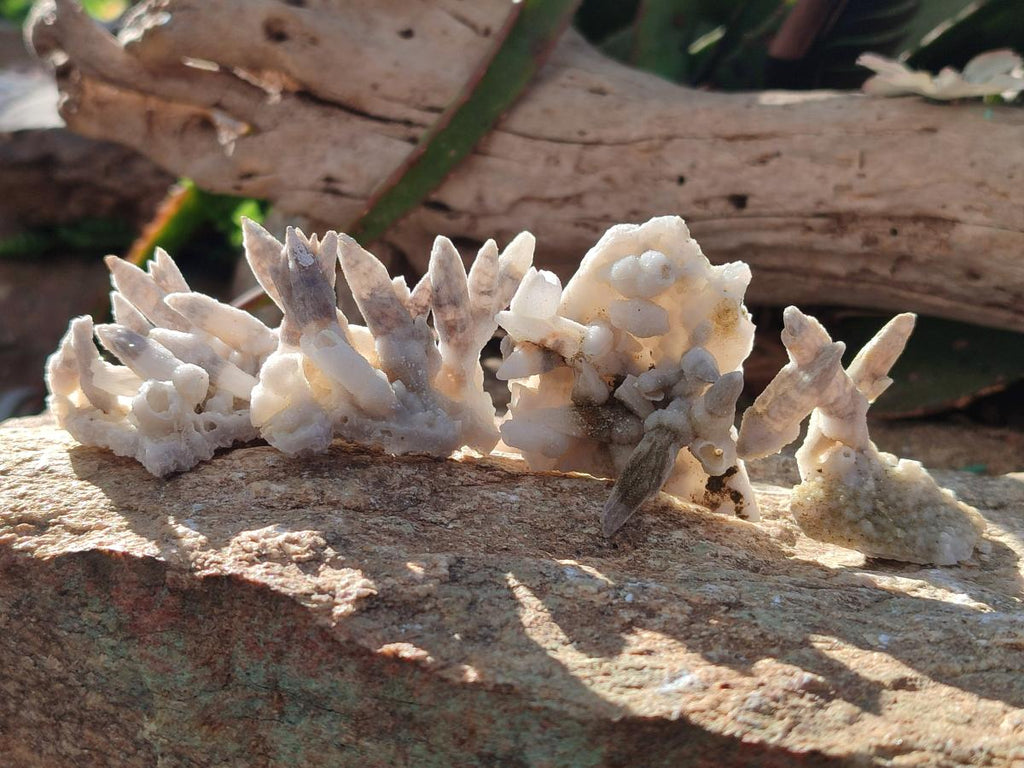 Natural Drusy Quartz Coated Spearhead Calcite Pseudomorph Clusters x 12 From Albert's Mountain, Lesotho - Toprock Gemstones and Minerals 