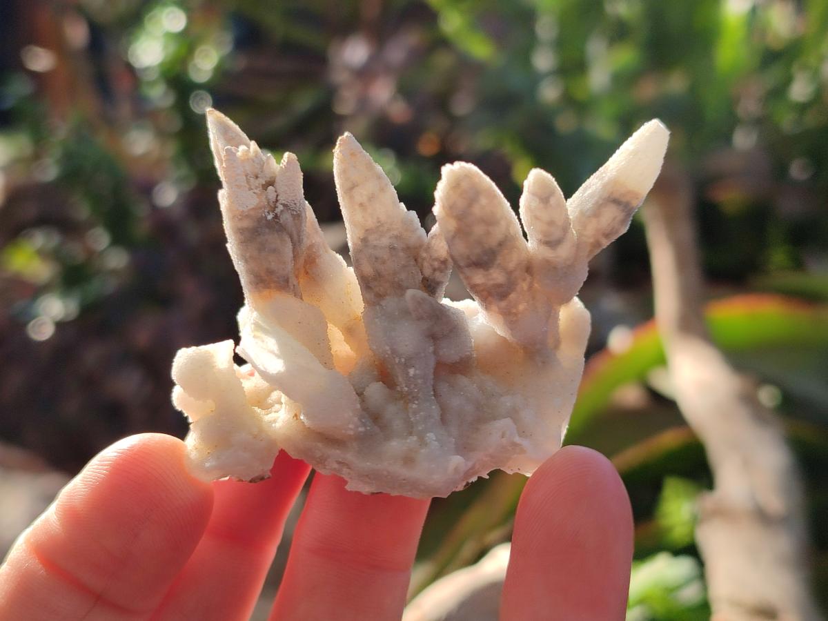 Natural Drusy Quartz Coated Spearhead Calcite Pseudomorph Clusters x 12 From Albert's Mountain, Lesotho - Toprock Gemstones and Minerals 