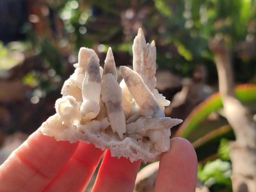 Natural Drusy Quartz Coated Spearhead Calcite Pseudomorph Clusters x 12 From Albert's Mountain, Lesotho - Toprock Gemstones and Minerals 