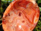 Polished Carnelian Agate Gemstone Bowls x 6 From Madagascar - Toprock Gemstones and Minerals 