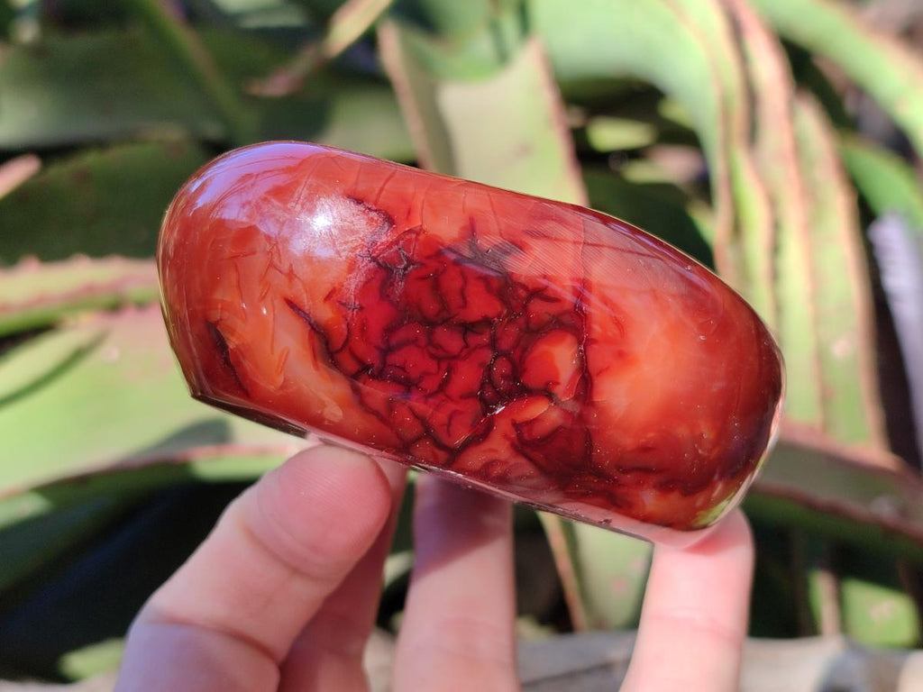 Polished Carnelian Agate Gemstone Bowls x 6 From Madagascar - Toprock Gemstones and Minerals 