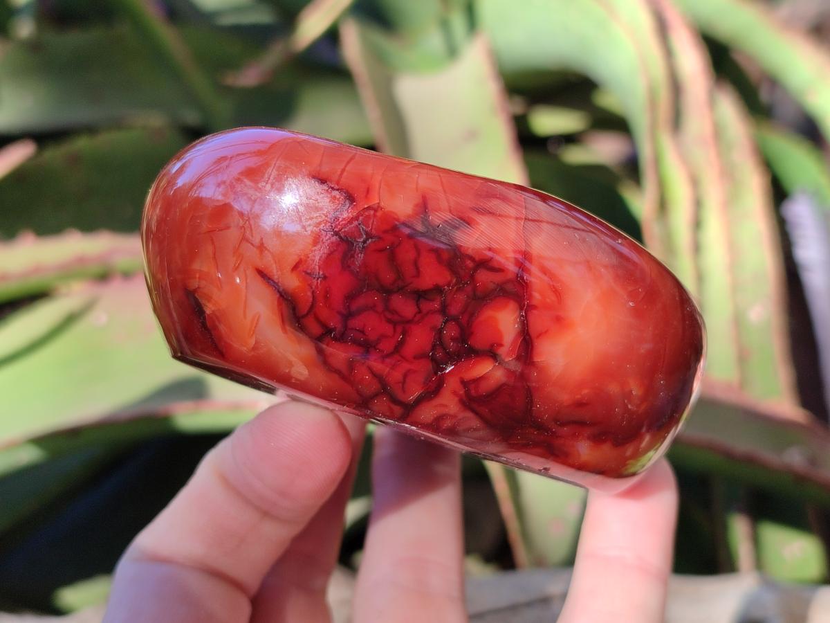 Polished Carnelian Agate Gemstone Bowls x 6 From Madagascar - Toprock Gemstones and Minerals 