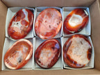 Polished Carnelian Agate Gemstone Bowls x 6 From Madagascar - Toprock Gemstones and Minerals 
