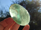 Polished Watermelon Fluorite Palm Stones x 12 From Uis, Namibia - Toprock Gemstones and Minerals 