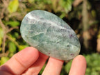 Polished Watermelon Fluorite Palm Stones x 12 From Uis, Namibia - Toprock Gemstones and Minerals 