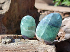 Polished Watermelon Fluorite Palm Stones x 12 From Uis, Namibia - Toprock Gemstones and Minerals 